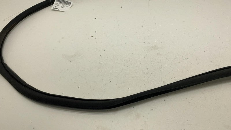 68291607 ⭕ 2019-2025 Ram 1500 Front Right Door Body Weatherstrip Rubber Seal OEM 68291607