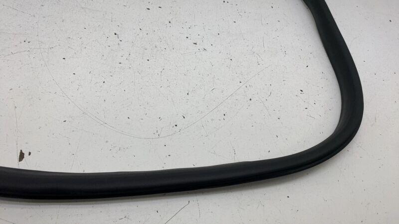 191098500C ⭕ 24-25 Model 3 Rear Left Primary Body Weatherstrip Rubber Seal LH 1910985-00-C
