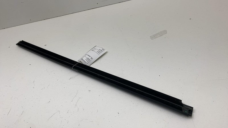 ⭕ 2021-2024 Ford Mustang Mach-E Left Door Window Inner Belt Weatherstrip Seal LH