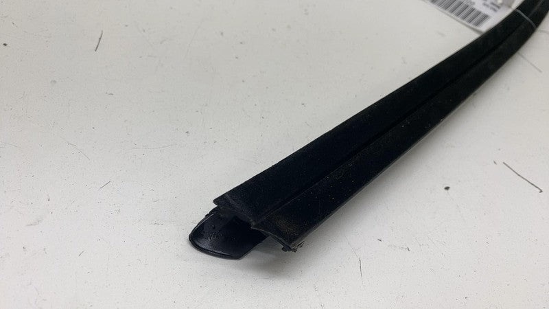 ⭕ 2021 2022 2023 2024 Ford Mustang Mach-E Door Window Inner Weatherstrip Seal
