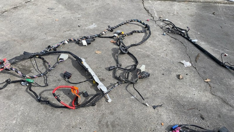 248639590C 2021-2024 Tesla Model S MS Right Main Body Wiring Harness Cable Wire Loom Assy