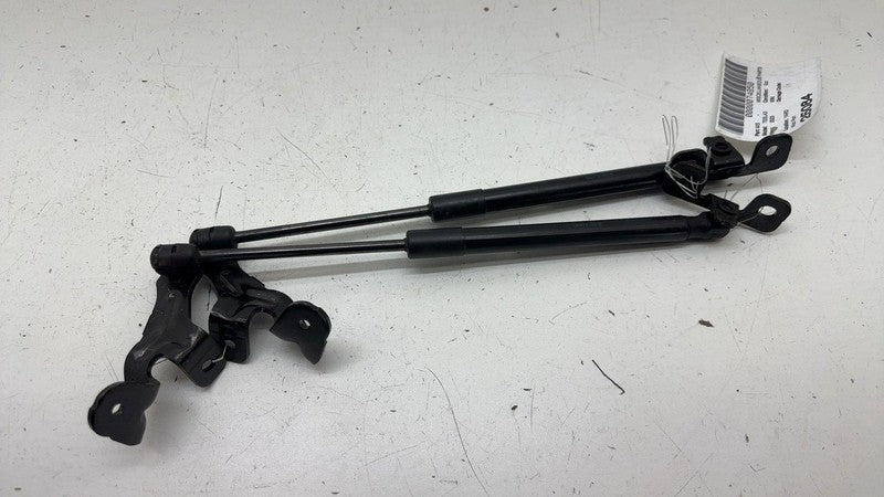 ⭕ 2017-2023 Tesla Model 3 Front Left & Right Hood Lift Shock Strut Support OEM