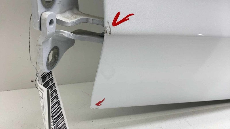 Rear Door TESLA MODEL 3 Left 22