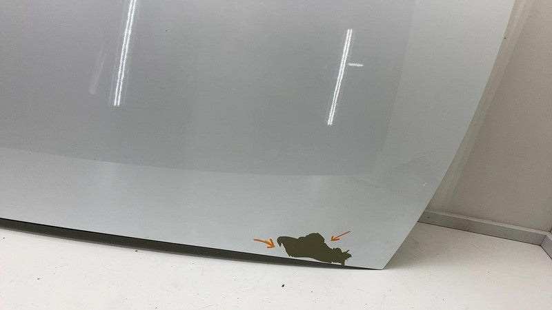 2013-2020 Tesla Model S Complete Roof w/ Outer Trim Seal Assembly OEM