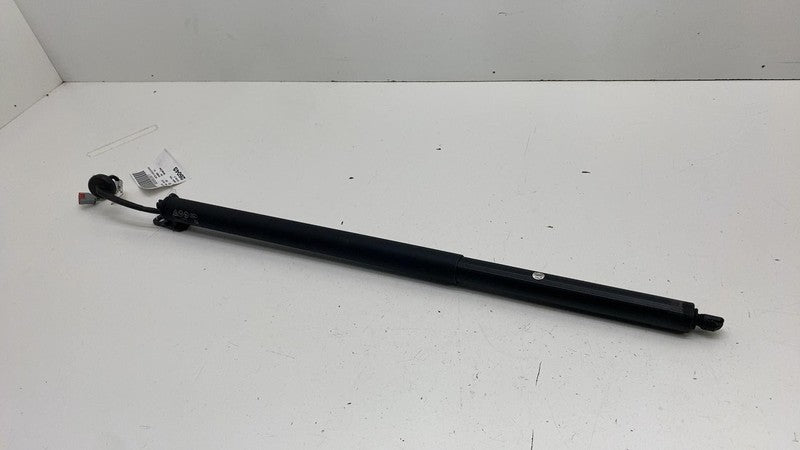 LJ8BR402A55AE ⭕ 21-24 Ford Mustang Mach-E Rear Left Power Lift Cylinder Strut LJ8B-R402A55-AE