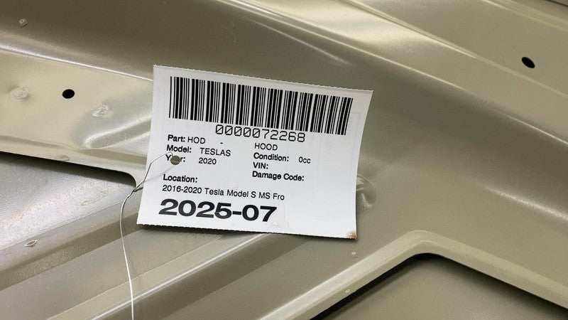 ⭕ 2016-2020 Tesla Model S MS Front Hood Bonnet Shell Panel Cover Assembly Primed