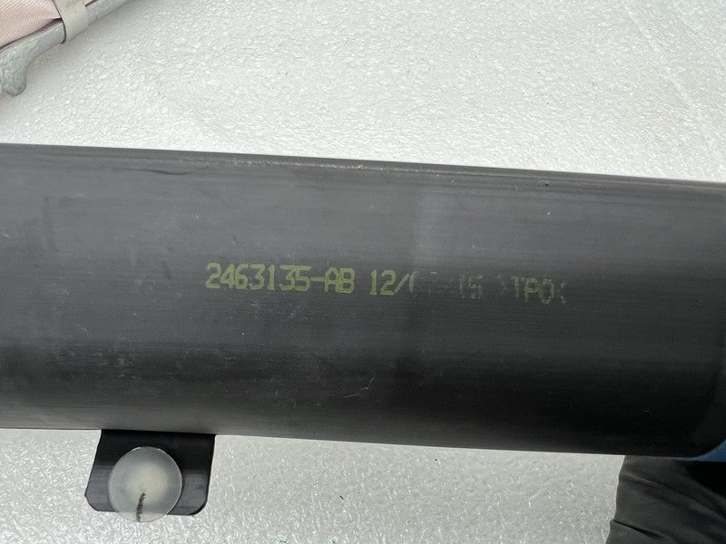 ⭕ 12-20 Tesla Model S Driver Side Roof Curtain Safety Airbag Left 1005
