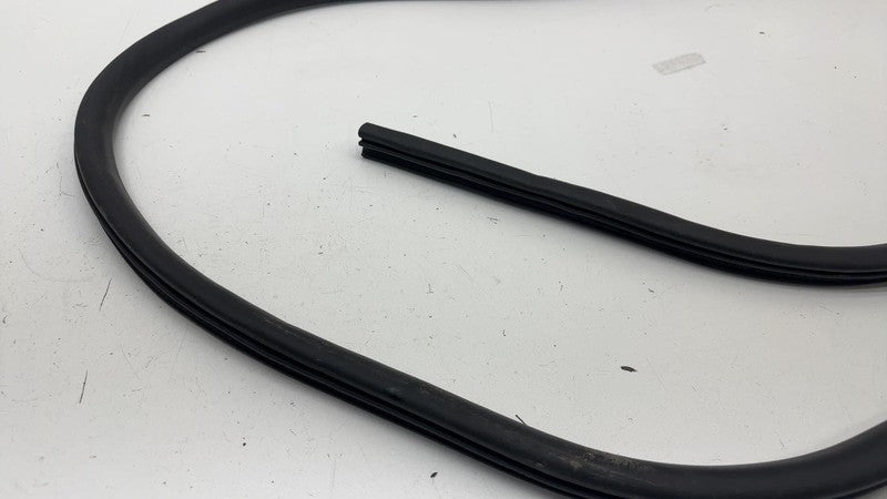 ⭕ 21-24 Mustang Mach-E Front Passenger Right Door Body Weatherstrip Ru