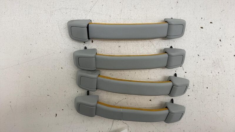 2022 2023 2024 Rivian R1T Set of 4 Roof Headliner Grab Grip Handle OEM