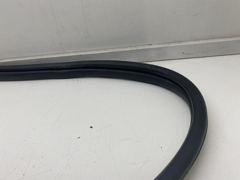 ⭕ 22-24 Hyundai Ioniq 5 Front Passenger Side Door Weatherstrip Rubber Seal Right