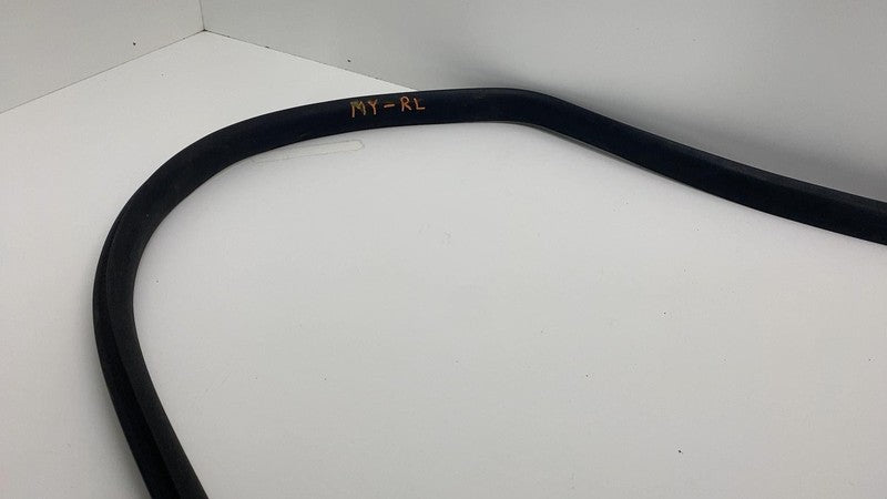2020-2023 Tesla Model Y Rear Driver Side Door Body Weatherstrip Rubber