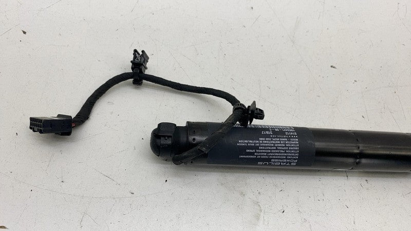 ⭕16-23 Model X Rear Left/Right Secondary Falcon Door Liftgate Strut 10