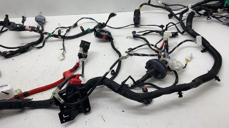 ⭕ 2025-2026 Tesla Model Y Front End Main Body Wiring Harness Cable Wir