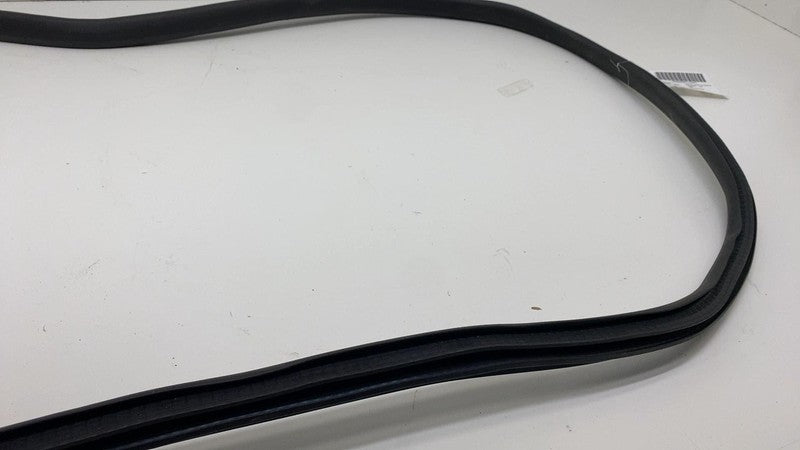 180754700D 2024 Tesla Cybertruck Rear Driver Side Door Seal Gasket Weather Strip Left OEM