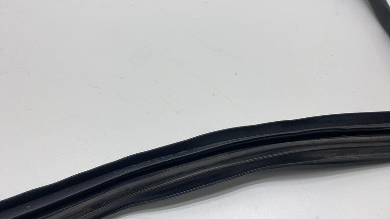 2017-2023 Tesla Model 3 Rear Passenger Right Door Body Weatherstrip Rubber Seal