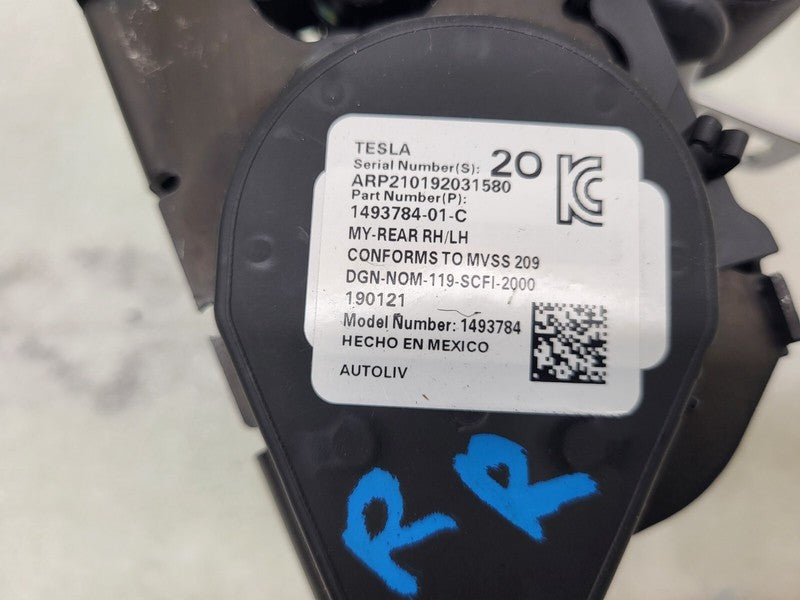1493784-01-C ⭕20-23 Tesla Model Y Rear Left or Right 2nd Row Seat Belt Retractor 1493784-01-C
