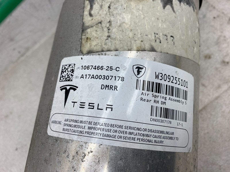 ⭕ 16-20 Model S Rear Right Suspension Air Spring Shock Strut Module 10
