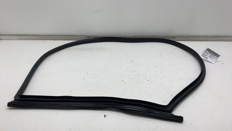 ⭕ 24-25 Model 3 Rear Right Primary Body Weatherstrip Rubber Seal RH 19