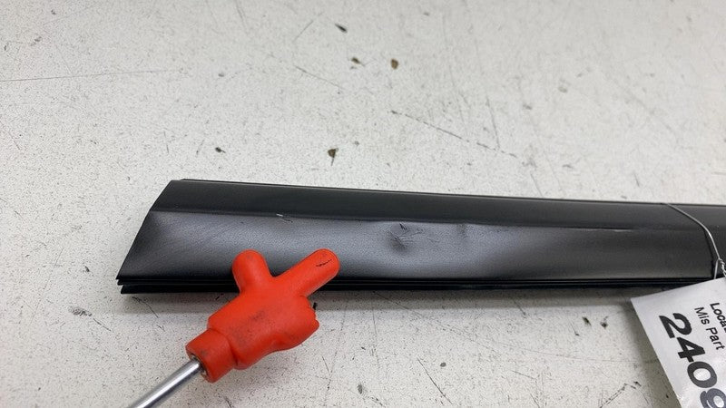 ⭕ 2024-2025 Tesla Model 3 Rear Left or Right Door Window Seal Molding