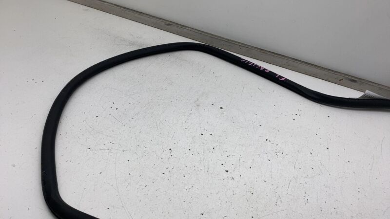 ⭕ 2017-2023 Chrysler Pacifica Front Driver Side Door Body Weatherstrip Seal Left