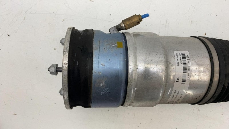 600635100C ⭕ 12-15 Model S Rear Air Suspension Spring Module Shock Absorber 6006351-00-C