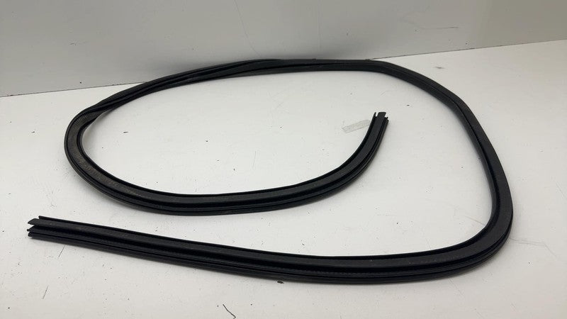 LJ8BR253H10AD ⭕ 21-24 Mustang Mach-E Front Door Body Weatherstrip Rubber Seal LJ8B-R253H10-AD