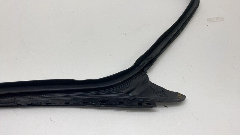 2017-2023 Tesla Model 3 Front Passenger Door Primary Weatherstrip Seal Right RH
