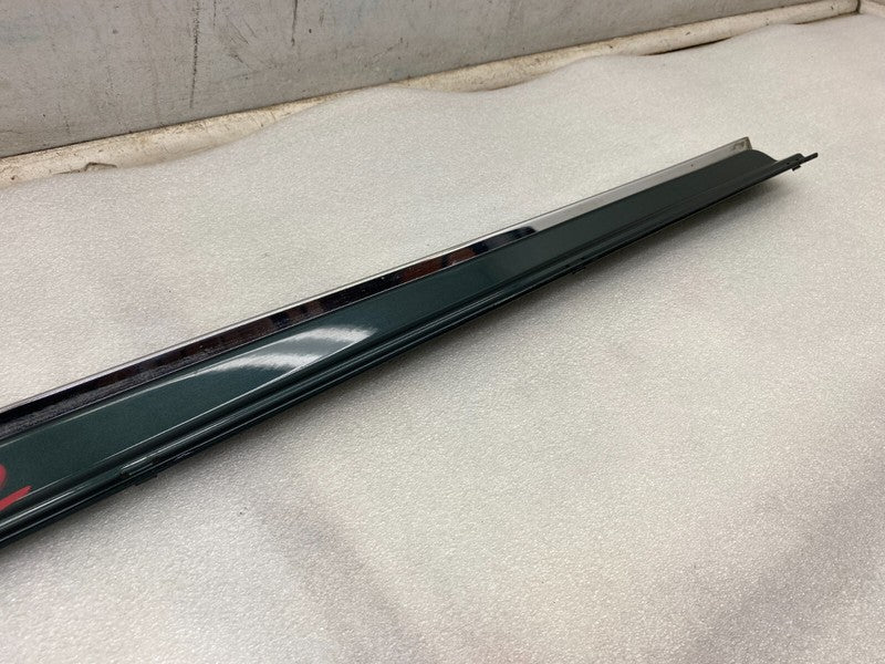 101221500C ⭕ 12-25 Model S Driver Side Rocker Panel Scuff Plate Molding Left 1012215-00-C