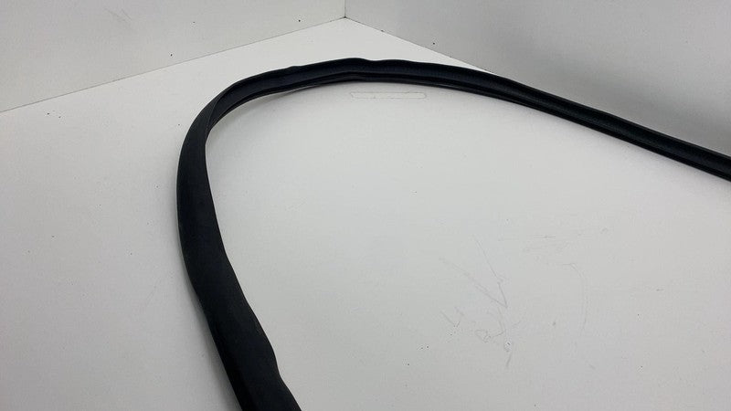 2020-2023 Tesla Model Y MY Front Driver Left Door Body Weatherstrip Rubber Seal