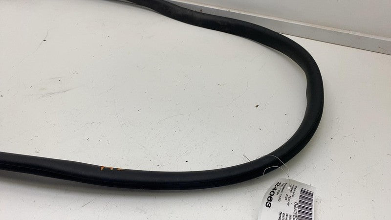 ⭕ 20-23 Tesla Model Y Rear Driver Side Door Body Weatherstrip Rubber S