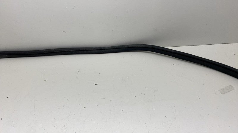 68291607 ⭕ 2019-2025 Ram 1500 Front Left Door Body Weatherstrip Rubber Seal OEM 68291607