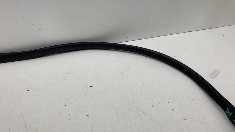 ⭕ 24-25 Model 3 Rear Right Primary Body Weatherstrip Rubber Seal RH 19
