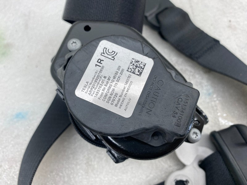 ⭕ 20-24 Tesla Model Y MY Front Right 1st Row Seat Belt & Retractor 14