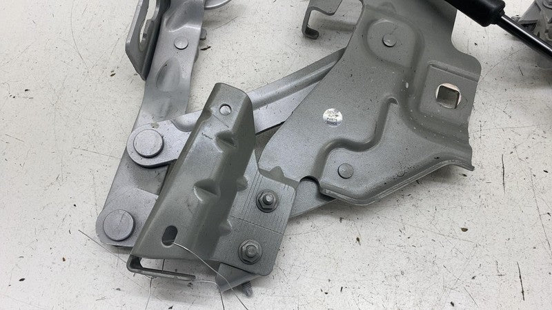 31688415 ⭕ 2021-2023 Polestar 2 PAIR Front Left & Right Hood Bonnet Hinge w/ Shock Strut