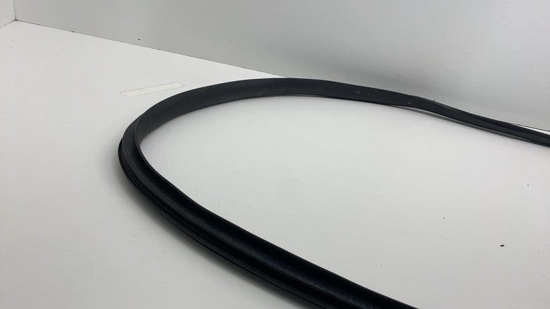 2020-2023 Tesla Model Y MY Front Driver Left Door Body Weatherstrip Rubber Seal
