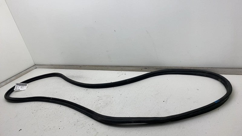 2022 2023 2024 Kia EV6 Rear Door Body Weatherstrip Rubber Seal Assembly OEM