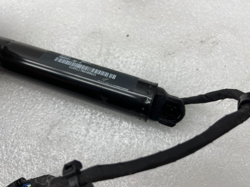106344100C ⭕16-23 Model X Rear Left/Right Secondary Falcon Door Lift Gas Strut 1063441-00-C