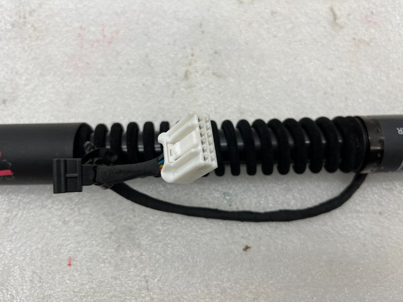 106344001D ⭕ 16-25 Model X Rear Right Front Left Primary Falcon Door Gas Strut 1063440-01-D