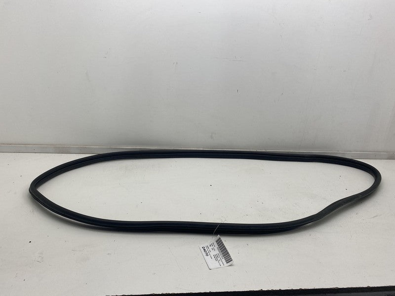 ⭕ 22-24 Hyundai Ioniq 5 Front Passenger Side Door Weatherstrip Rubber Seal Right