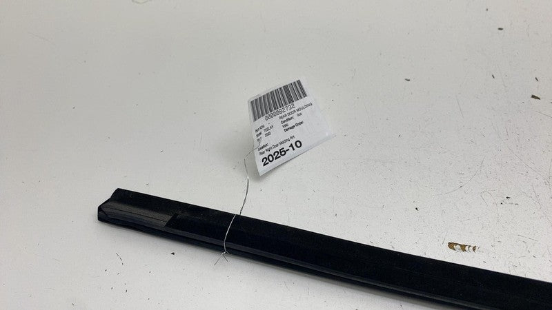 ⭕ 2020-2024 Tesla Model Y MY Rear Right Side Door Window Seal Molding Belt Strip