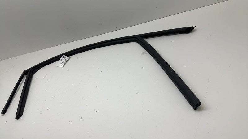 LJ8BR21510AH ⭕ 21-24 Mustang Mach-E Front Right Window Glass Run Channel Seal LJ8B-R21510-AH