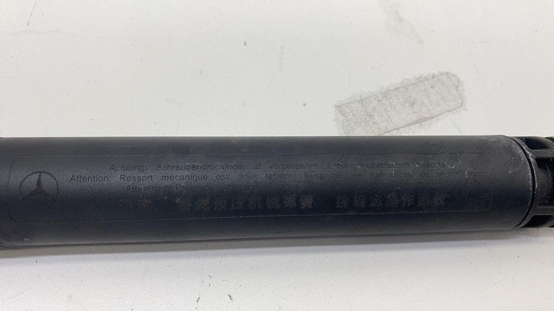 A 297 890 01 00 ⭕ 2022 Mercedes EQS 450+ Driver Left Side Tailgate Shock Strut Lift A2978900100