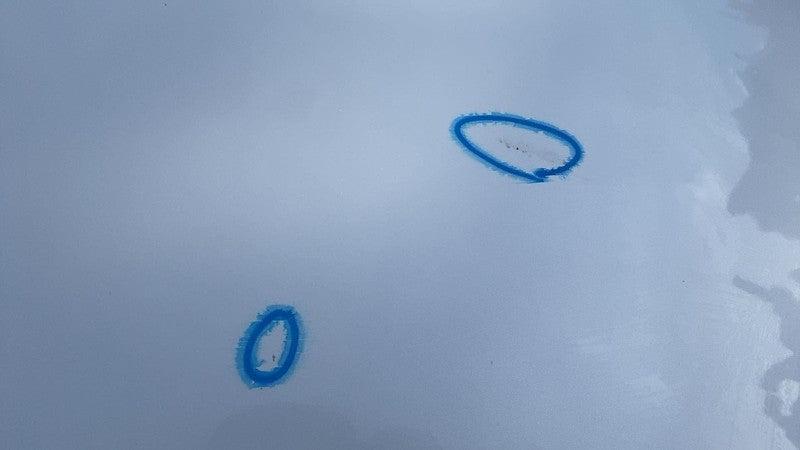 2020-2024 Tesla Model Y Front Bonnet Hood Shell Panel Assembly OEM Whi