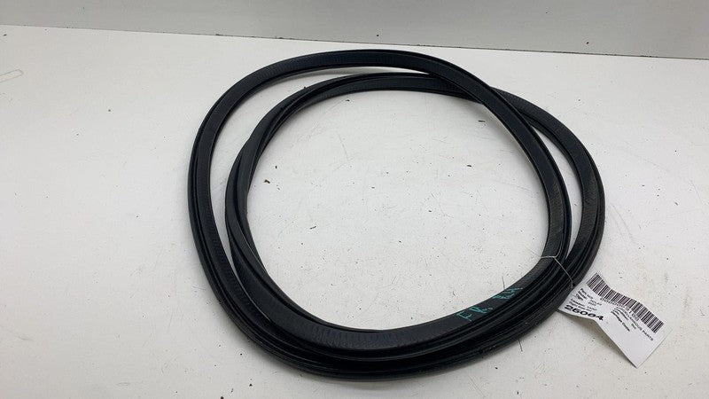 31662569 ⭕ 21-23 Polestar 2 Front Passenger Door Body Weatherstrip Seal Right RH 31662569