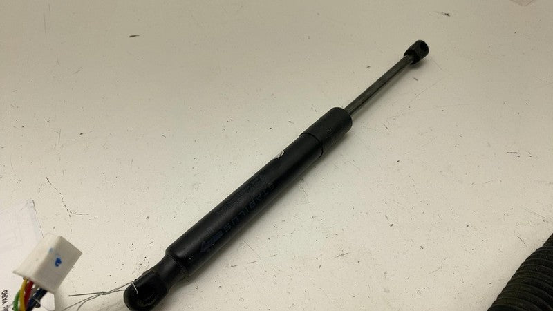 155148900B ⭕ 2017-2023 Model 3 M3 PAIR of Rear Trunk Lid Tailgate Shock Struts 1551489-00-B