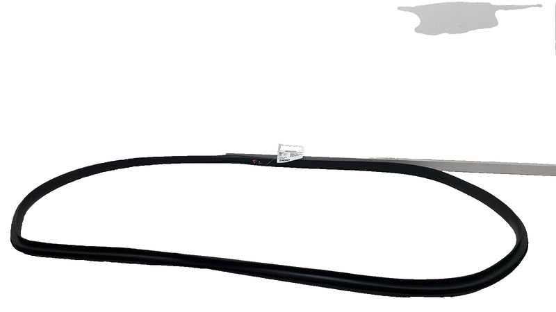 ⭕ 2020-2023 Tesla Model Y Front Driver Left Door Body Weatherstrip Rub