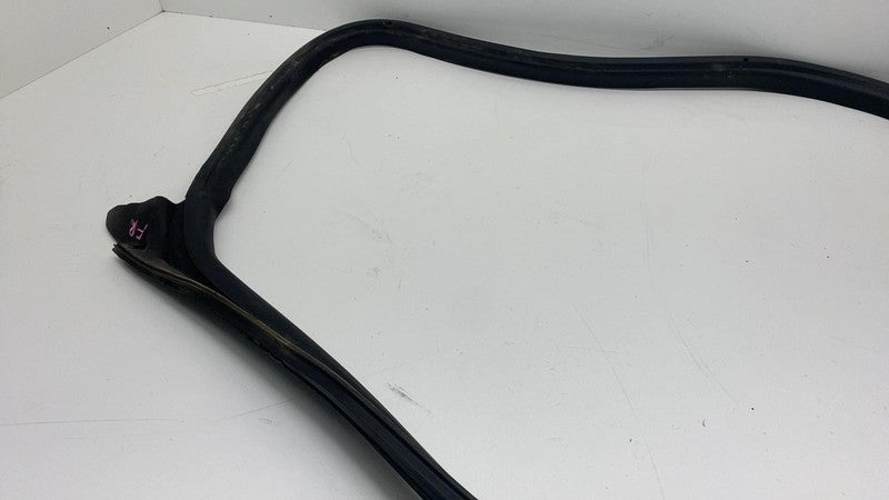 2017-2023 Tesla Model 3 Front Passenger Door Primary Weatherstrip Seal Right RH