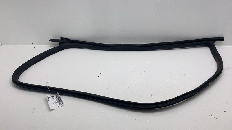 191098300E ⭕ 24-25 Model 3 Front Left Primary Body Weatherstrip Rubber Seal LH 1910983-00-E