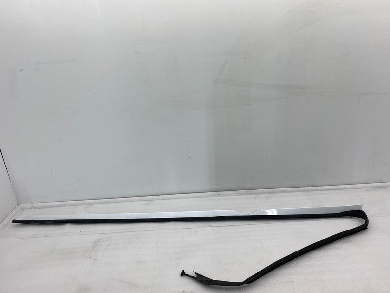 1012217-00 ⭕ 2012-2023 Tesla Model S Right Rocker Panel Scuff Plate Molding w/ Rubber Seal