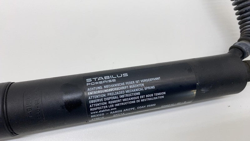 6006610 00 B 2012-2020 Tesla Model S Rear Passenger Liftgate Trunk Power Shock Strut Right RH